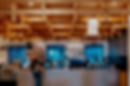 tiko1_edited_edited.jpg