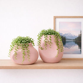 WhatsApp Image 2026-01-20 at 18.07.36.jpeg