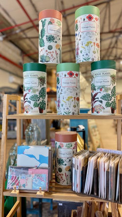 WhatsApp Image 2025-12-28 at 10.48.16 (2)