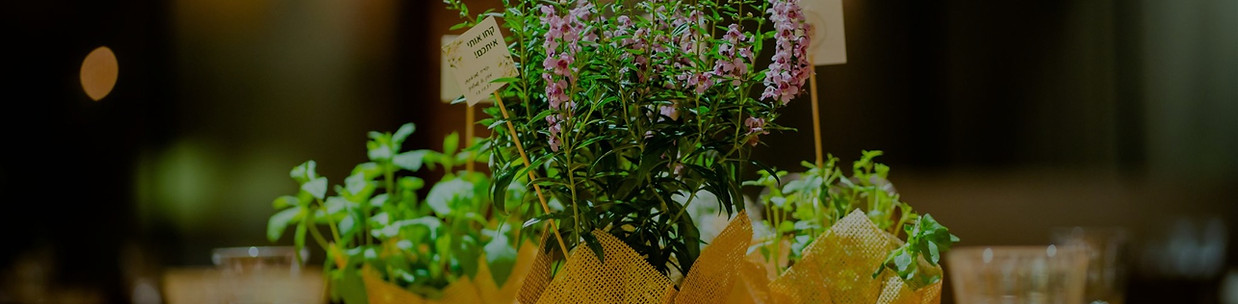 WhatsApp Image 2021-11-22 at 10.41_edite