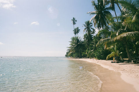 Tropics
