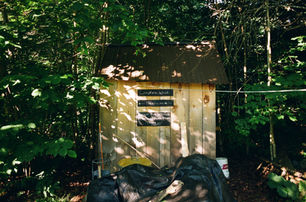 Wooden shed with signs reading “Campfire Wood” and “Firestarter,” surrounded by dense green forest.