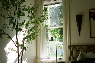 Bright interior corner with white-trimmed window, green tree branches, and soft light streaming in.