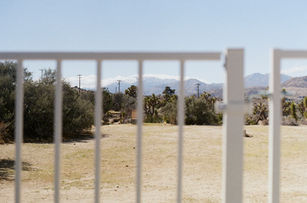 Desert landscape with Joshua trees and distant mountains, viewed through a white metal fence in the foreground.