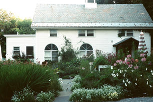 White building with arched windows surrounded by dense garden beds, flowers, and striped patio umbrella.