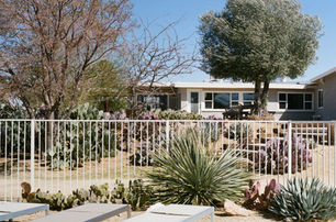 Desert garden with white fence, lounge chairs, and a white house surrounded by cactus and trees.