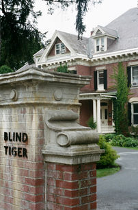 Vertical shot of brick pillar marked “Blind Tiger” with historic red-brick building and greenery in background.