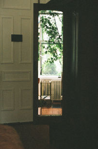 Dimly lit interior seen through doorway with window-framed view of tree branches and vintage radiator.