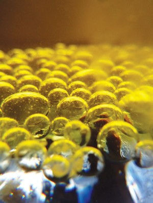 Synthetic Biology: Living Quarters