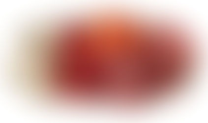 『Stuff Blog vol.9』〜念願の料理〜