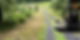 Land Clearing & Driveway Restoration