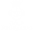 Millennium golf.png
