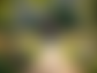 Join Us in Creating a Community of Hope, Compassion, and Healing in Christ