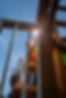 Shrine_210330_29.jpg