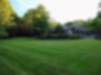 IMG_20220610_190901335.jpg