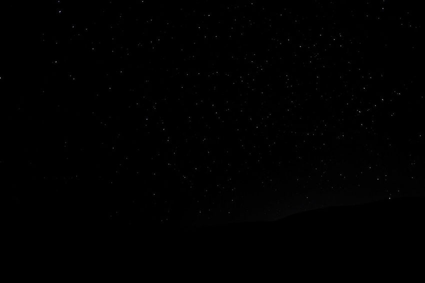 photo-1603366615917-1fa6dad5c4fa.jpg
