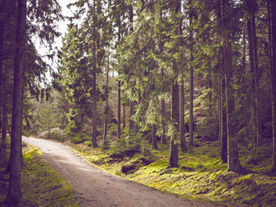 Adapting to Change and Life's Challenges