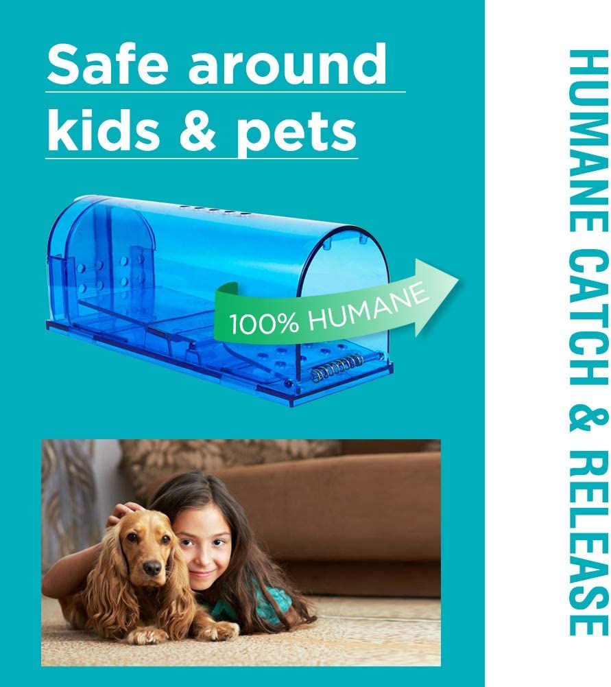 Thumbnail: Humane Mouse Trap | Catch and Release Mouse Traps That Work | Mice Trap No Kill