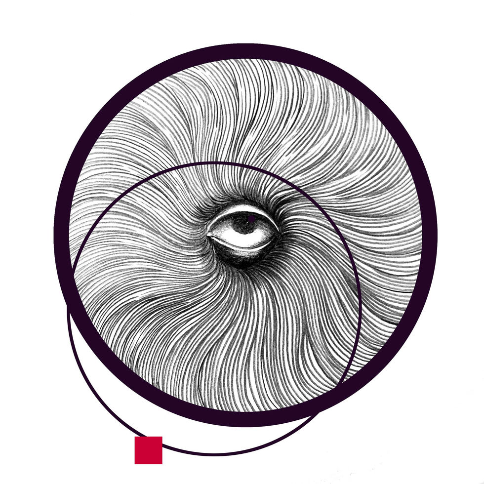 eye002