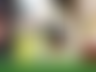 From Seed to Plate: Why Seed Systems Matter for Food Security