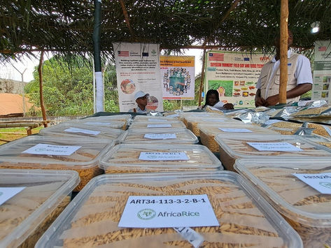 EU-Funded Seeds4Liberia Showcases Innovation at the National Agriculture Fair