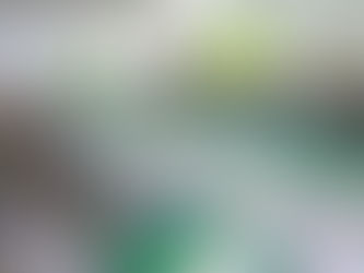 Riziculture en Afrique de l’Ouest : AfricaRice lance une offensive régionale pour garantir l'accès aux semences de riz de variétés climato-résilientes à haute valeur marchande