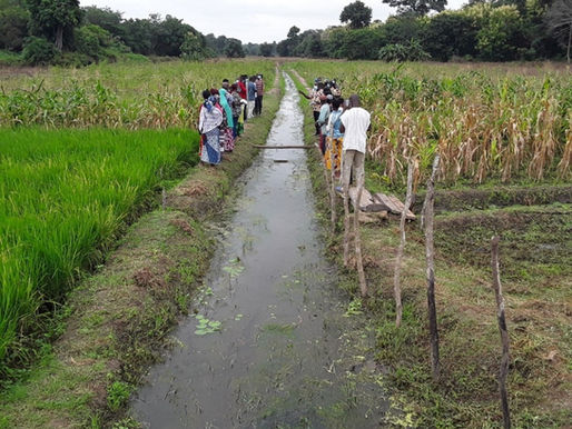 Smart-Valleys approach experimental field
