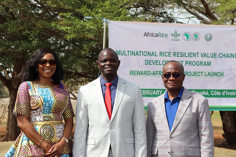 Le groupe de la BAD & AfricaRice lancent le programme régional REWARD de 8,5 millions $US visant à renforcer la résilience des chaînes de valeur riz dans 14 pays d’Afrique de l’Ouest