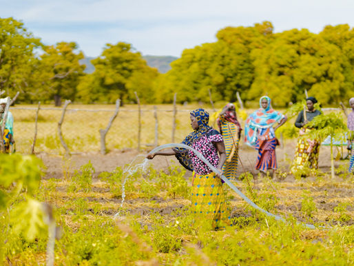Rural Women of Mali: Pillars of Food System Resilience in the Face of Climate Change