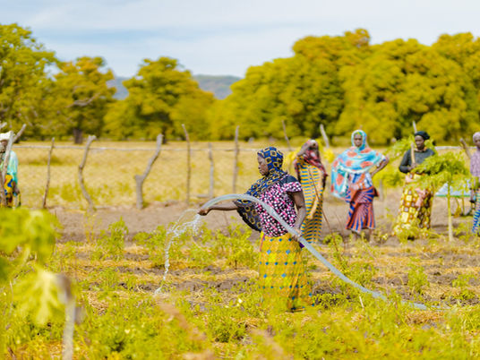 Rural Women of Mali: Pillars of Food System Resilience in the Face of Climate Change