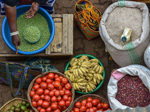 CGIAR Highlights Key Role of Research Collaboration at 6th AU-EU Ministerial Conference