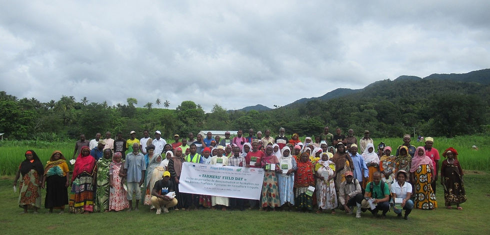 Picture 3: Farmers’ field day in Ndrondroni, Moheli-Comoros (Credit: AfricaRice).
