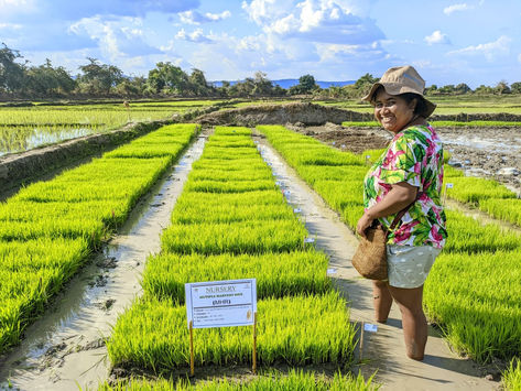 Journée internationale des femmes et des filles de sciences 2026 : Coup de projecteur sur l’impact de Fanomezantsoa à Madagascar