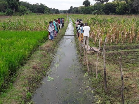 Champ expérimental de l’approche Smart-Valleys