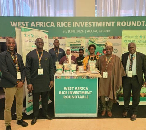 Africarice showcases REWARD project and TAAT II Rice Compact success at the Rice Investment Roundtable in Accra