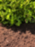 Mulch