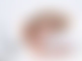 Organic Twin Mattress 101