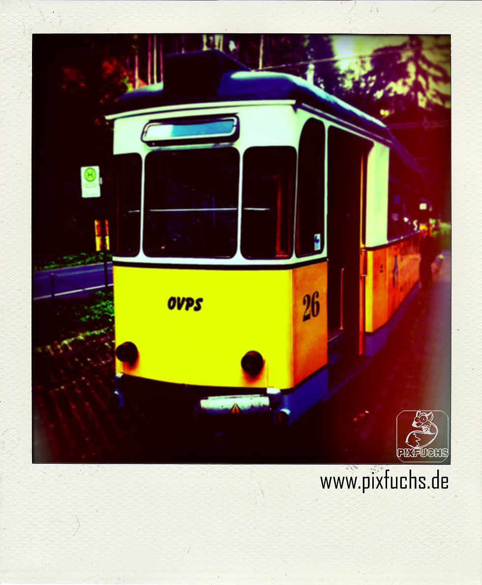 Pixfuchs_YellowTram_pola_lb