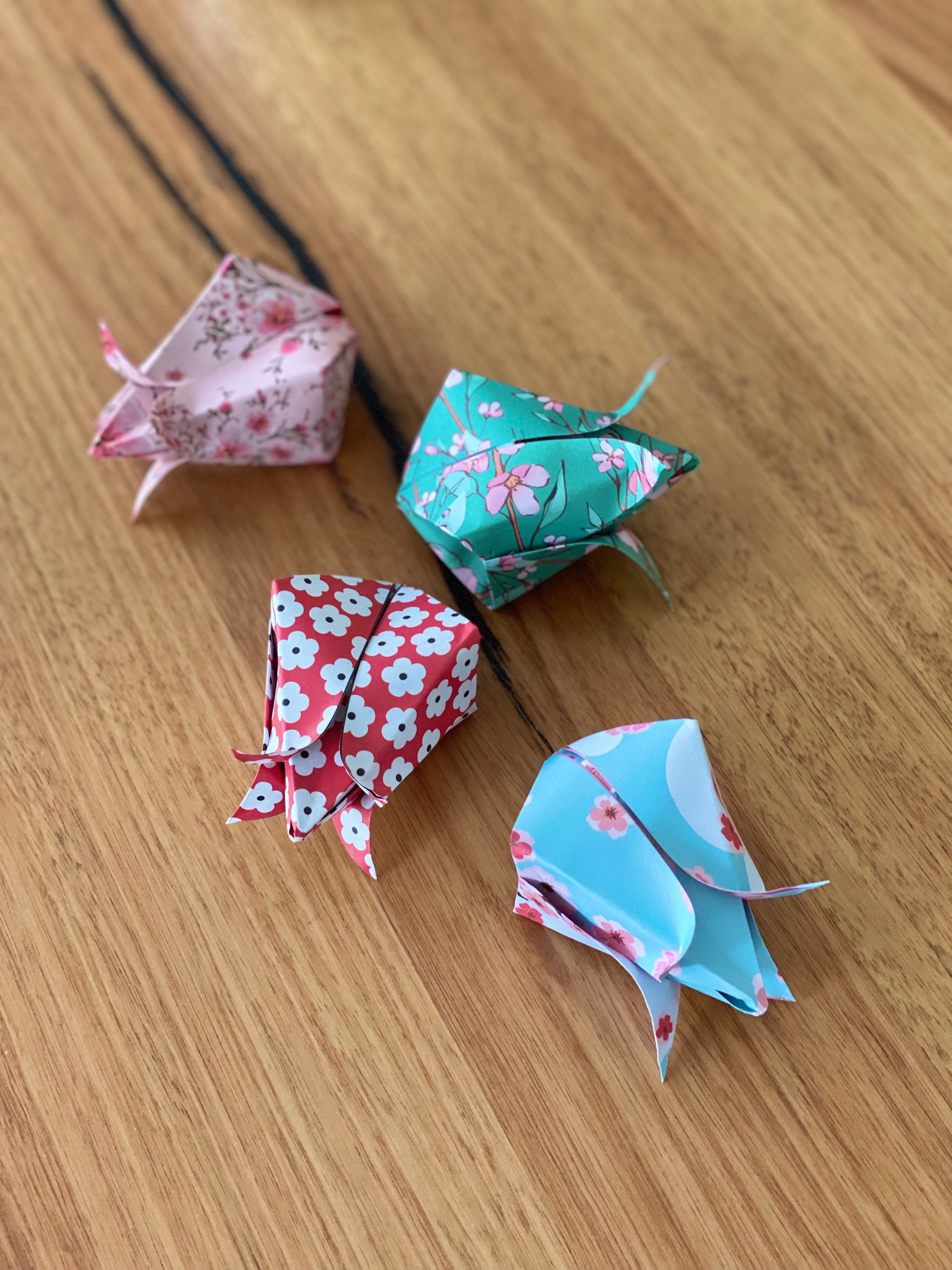 Single Stemless Tulip