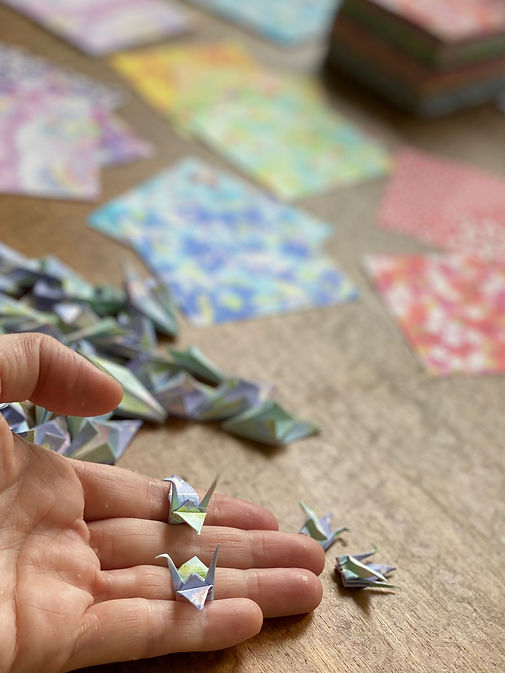 Hand & origami.jpg