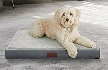 dog crate bed