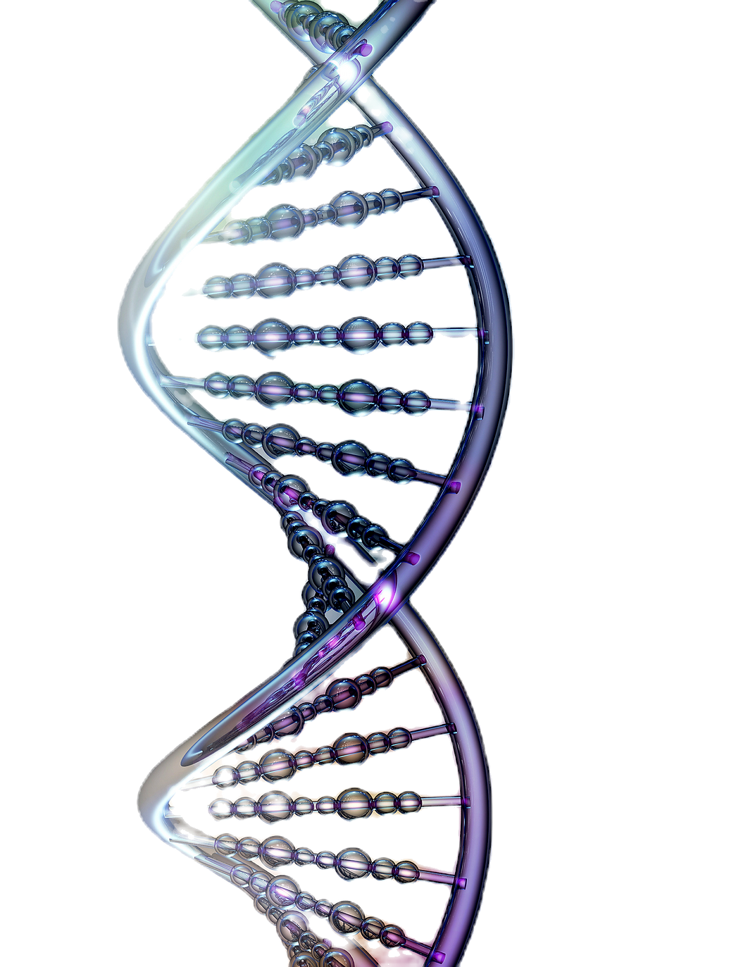 Picture of DNA.