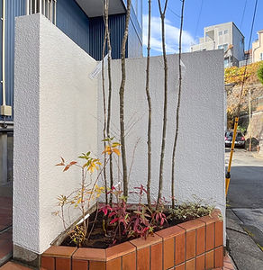 川崎市 植栽管理6-2.jpg