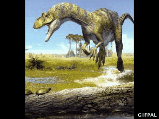 tumblr_m90tpbeuZV1rcoej6o1_400.gif