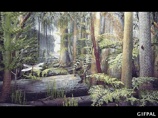 tumblr_m90t9uNgmG1rcoej6o1_400.gif