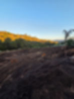 a dog walking a newly composted field to grow on under a clear blue sky in a calm and peaceful area during summer