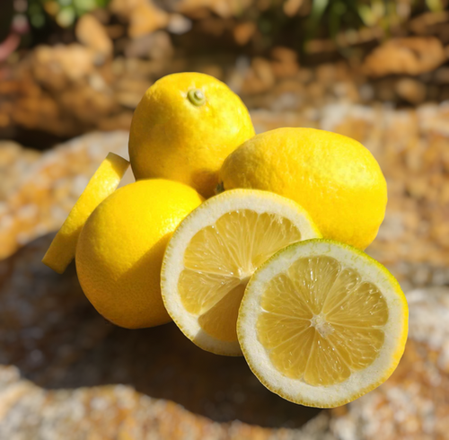 ゆずLemon ゆずLemon Yuzu Lemon (each) Delivery or Pickup Near Me - Instacart