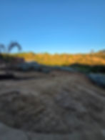 Clear blue sky over a grassy hill with scattered trees. Foreground shows dirt with skid steer tracks. A palm tree stands on the left. Peaceful setting. dirt pad foundation