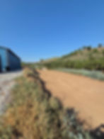 Wide angle view of a vibrant berry and vegetable field under the sun