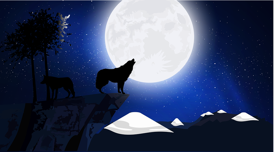 Nouvelle lune